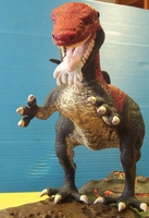 myallodone03.JPG