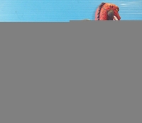 myallodone05.JPG