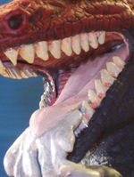 myallodone11.JPG