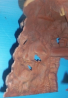 mycave06.JPG