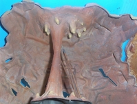 mycave07.JPG