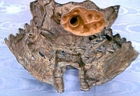 mycaveunder.JPG