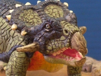 myprotodone19.JPG