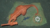 paradone04.JPG