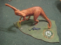 paradone05.JPG