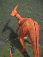 paradone13.JPG