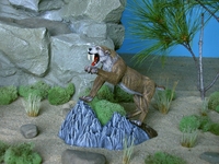 petedibendetto107.jpg