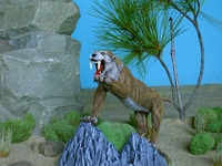 petedibendetto108.jpg