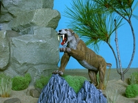 petedibendetto112.jpg