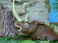petedibendetto120.jpg