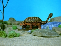 petedibendetto140.jpg