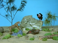 petedibendetto163.jpg