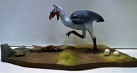 qmbird04.jpg