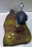 qmbird05.jpg