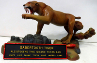 qmtiger2.jpg