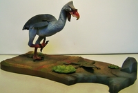 quietmanbird2.jpg