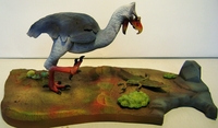 quietmanbird3.jpg