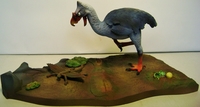 quietmanbird5.jpg