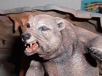 raybear01.JPG