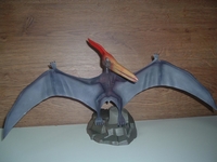 rayfly03.jpg