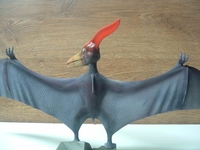 rayfly05.jpg