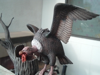Filename=raytar.JPG
Filesize=207KiB
Dimensions=1600x1200
Date added=Dec 29, 2013 raytar.JPG
