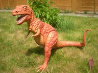 rex1~1.jpg