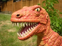 rex3.jpg