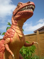rex4.jpg