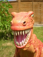 rex5.jpg