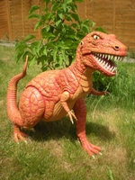 rex6.jpg