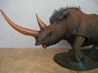 rhino06.jpg