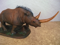 rhino10.jpg