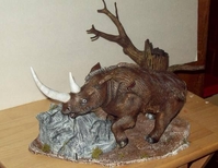 rhino3.jpg