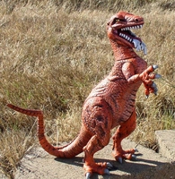richdallo2.JPG
