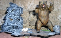 richdbear1.JPG