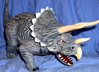 richdtrike1.JPG