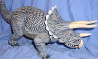 richdtrike5.JPG