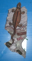 sailp13.jpg