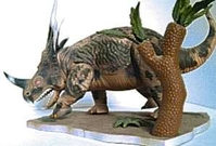 spike3.JPG
