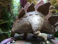 steg3.jpg