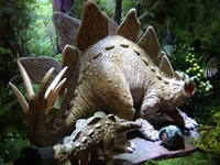 steg4.jpg