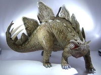 steg6.jpg