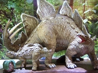 steg8.jpg