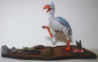 stevecbird01.jpg