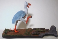 stevecbird02.jpg