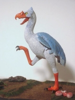 stevecbird04.jpg