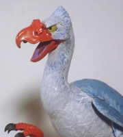 stevecbird05.jpg