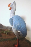 stevecbird06.jpg
