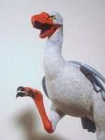 stevecbird10.jpg
